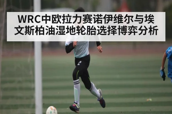 WRC中欧拉力赛诺伊维尔与埃文斯柏油湿地轮胎选择博弈分析